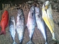 Fishing Indonesia